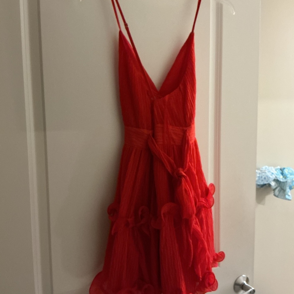 Red Ruffle Dress - Picture 3 of 4